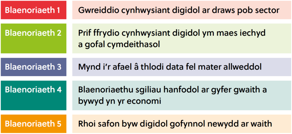 Blaenoriaeth 1 – Gwreiddio cynhwysiant digidol ar draws pob sector Blaenoriaeth 2 – Prif ffrydio cynhwysiant digidol ym maes iechyd a gofal cymdeithasol Blaenoriaeth 3 – Mynd i’r afael â thlodi data fel mater allweddol Blaenoriaeth 4 – Blaenoriaethu sgiliau hanfodol ar gyfer gwaith a bywyd yn yr economi Blaenoriaeth 5 – Rhoi safon byw digidol gofynnol newydd ar waith