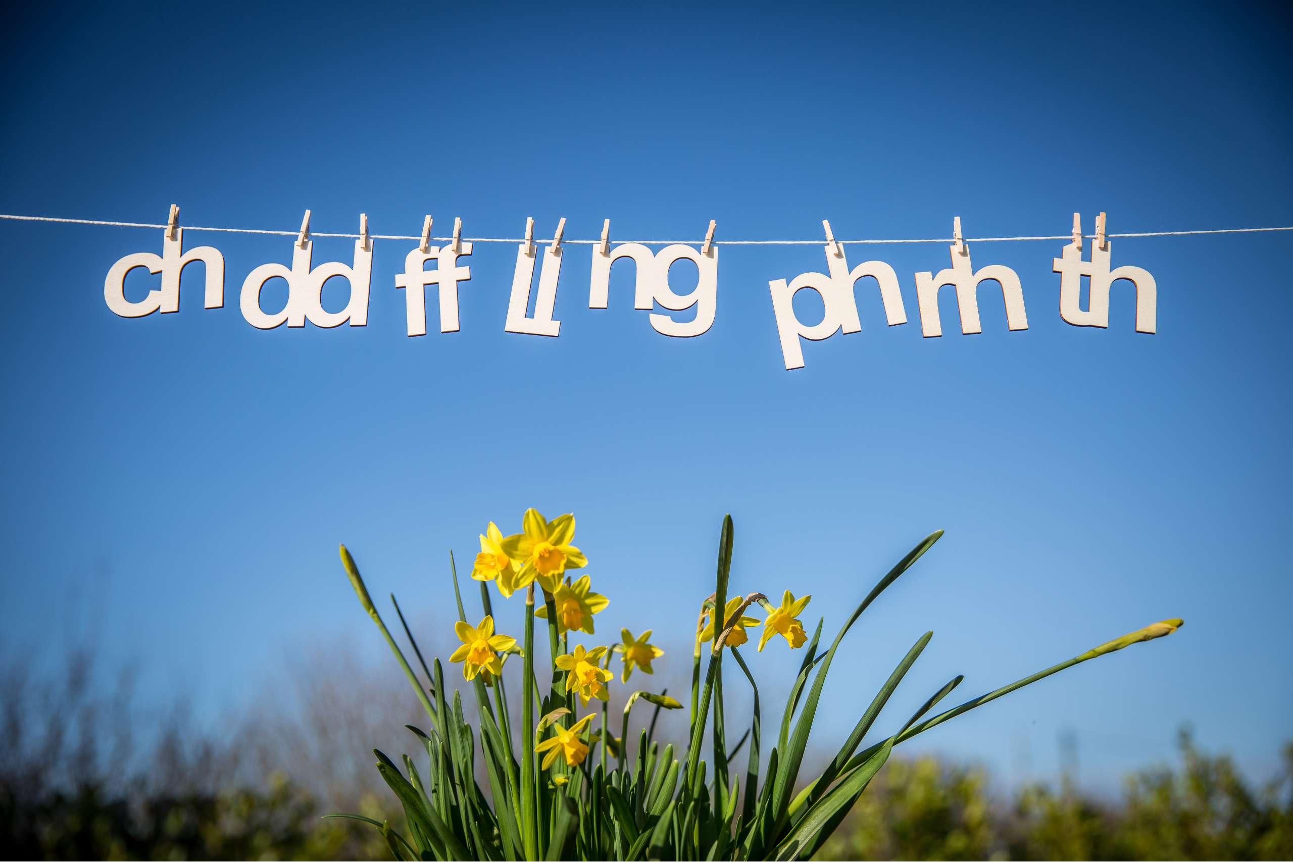 Welsh letters hanging by pegs on a clothes line. Beneath are some daffodils.